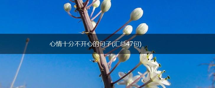 心情十分不开心的句子(汇总47句),第1张