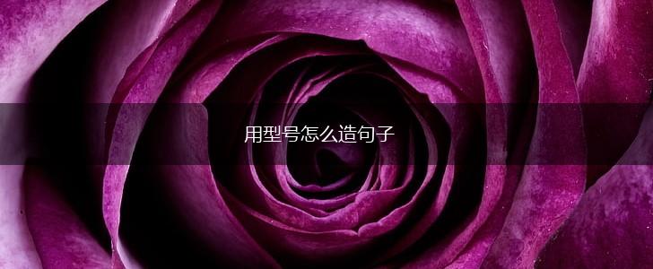 用型号怎么造句子,第1张 用型号怎么造句子,第1张