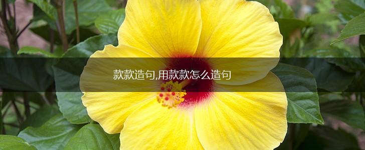 款款造句,用款款怎么造句,第1张 款款造句,用款款怎么造句,第1张
