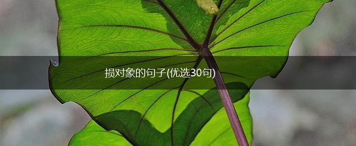 损对象的句子(优选30句),第1张