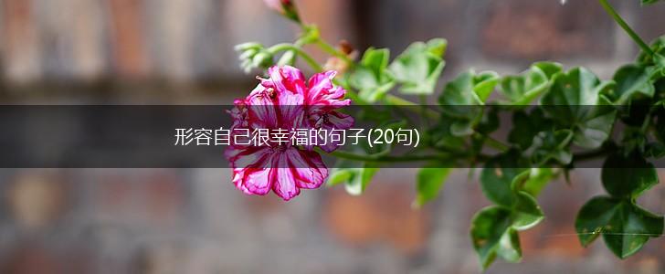 形容自己很幸福的句子(20句),第1张