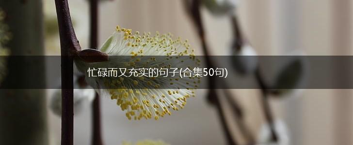 忙碌而又充实的句子(合集50句),第1张