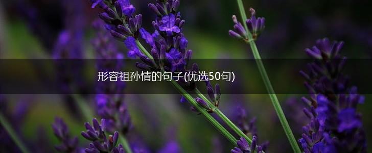 形容祖孙情的句子(优选50句),第1张