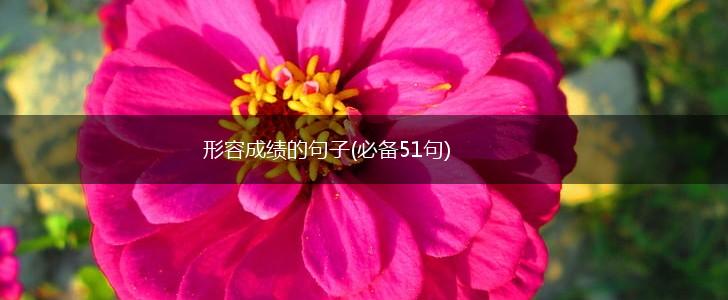 形容成绩的句子(必备51句),第1张
