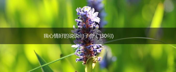 我心情好的说说句子(热门30句),第1张