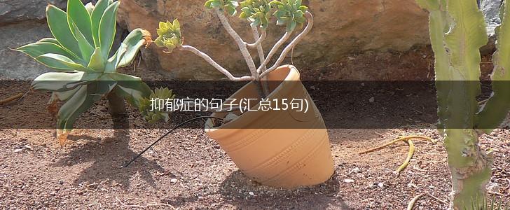 抑郁症的句子(汇总15句),第1张