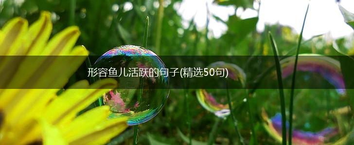 形容鱼儿活跃的句子(精选50句),第1张