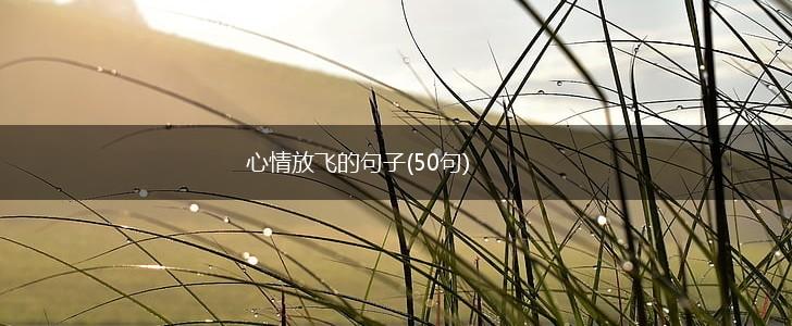 心情放飞的句子(50句),第1张