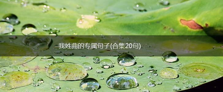 我姓曲的专属句子(合集20句),第1张