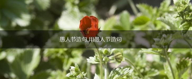 愚人节造句,用愚人节造句,第1张 愚人节造句,用愚人节造句,第1张