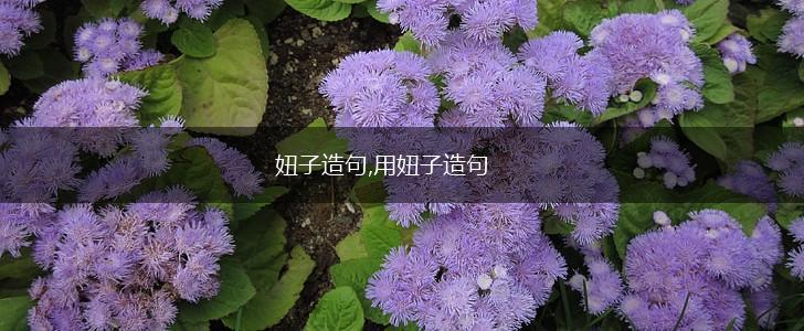 妞子造句,用妞子造句,第1张 妞子造句,用妞子造句,第1张