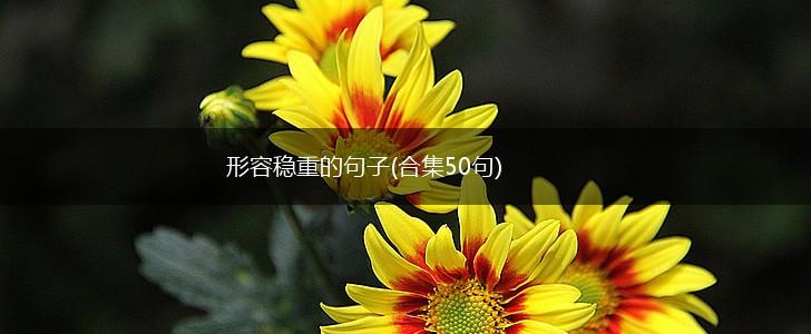 形容稳重的句子(合集50句),第1张