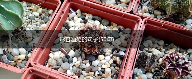 形容渔船的句子(50句),第1张