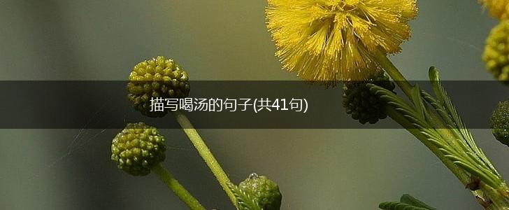 描写喝汤的句子(共41句),第1张