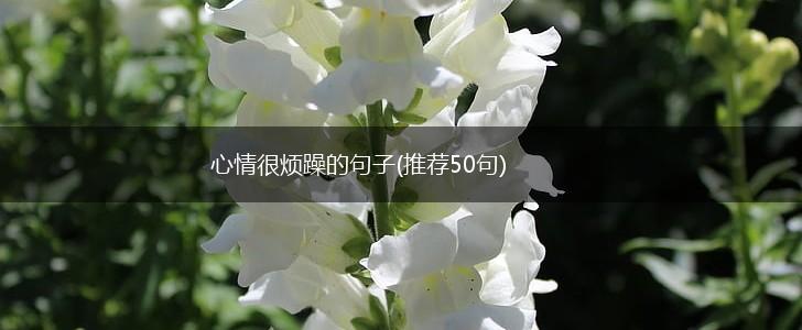 心情很烦躁的句子(推荐50句),第1张