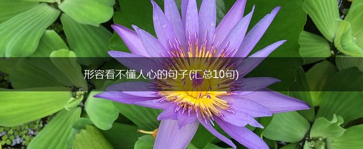 形容看不懂人心的句子(汇总10句),第1张