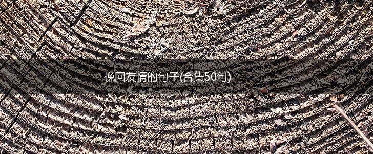 挽回友情的句子(合集50句),第1张
