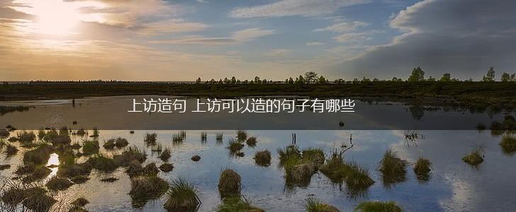 上访造句 上访可以造的句子有哪些,第1张