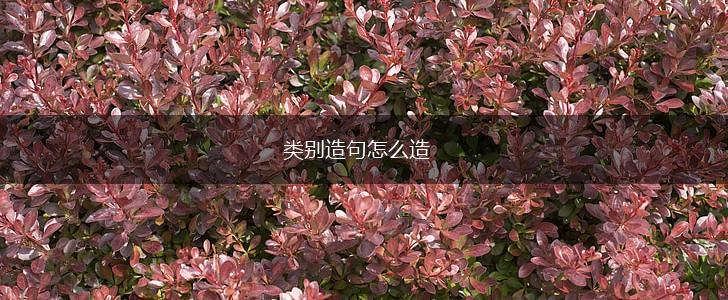 类别造句怎么造,第1张 类别造句怎么造,第1张