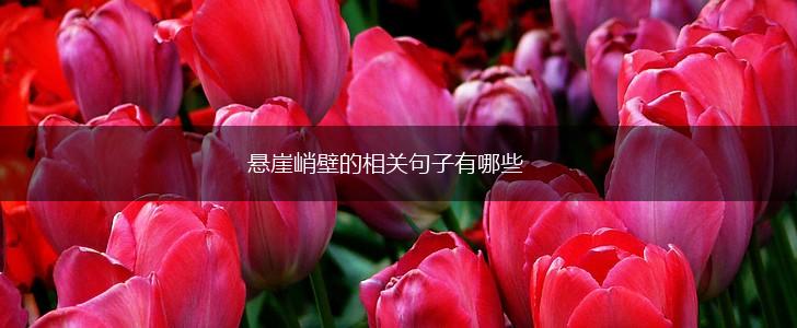 悬崖峭壁的相关句子有哪些,第1张 悬崖峭壁的相关句子有哪些,第1张