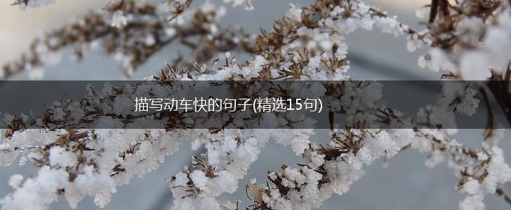 描写动车快的句子(精选15句),第1张