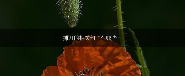 摊开的相关句子有哪些,第1张 摊开的相关句子有哪些,第1张