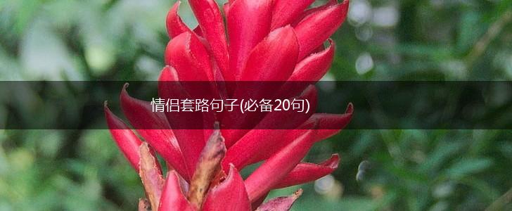 情侣套路句子(必备20句),第1张