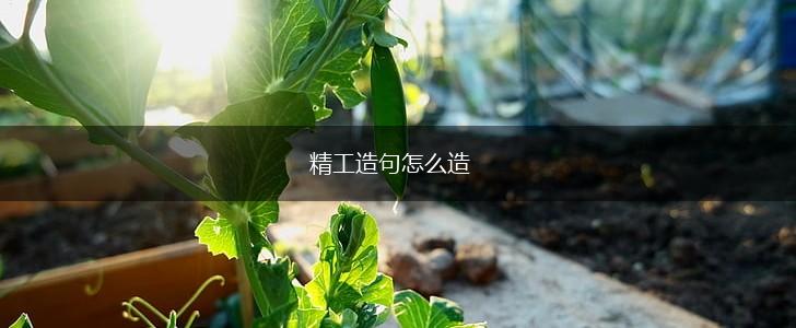 精工造句怎么造,第1张 精工造句怎么造,第1张