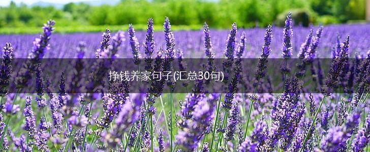 挣钱养家句子(汇总30句),第1张