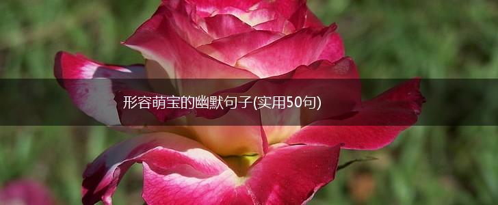 形容萌宝的幽默句子(实用50句),第1张