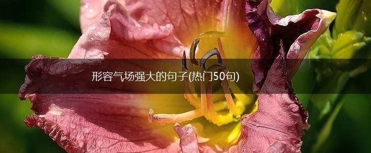 形容气场强大的句子(热门50句),第1张