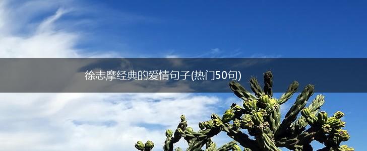 徐志摩经典的爱情句子(热门50句),第1张