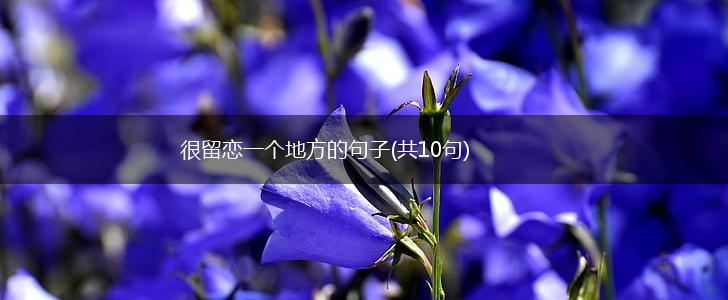 很留恋一个地方的句子(共10句),第1张
