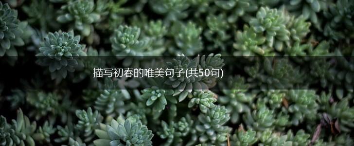 描写初春的唯美句子(共50句),第1张