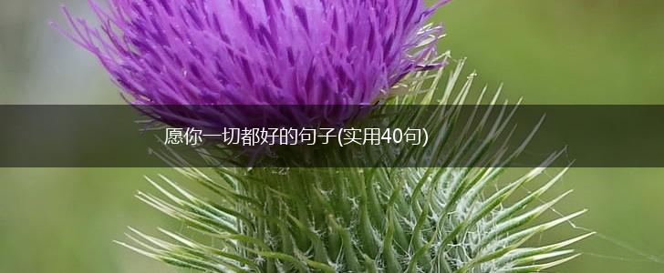 愿你一切都好的句子(实用40句),第1张