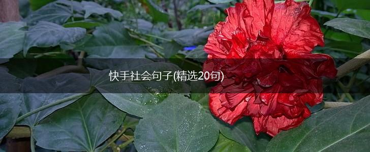快手社会句子(精选20句),第1张