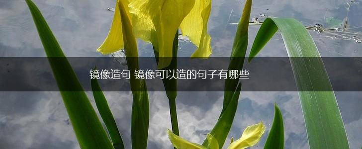 镜像造句 镜像可以造的句子有哪些,第1张 镜像造句 镜像可以造的句子有哪些,第1张