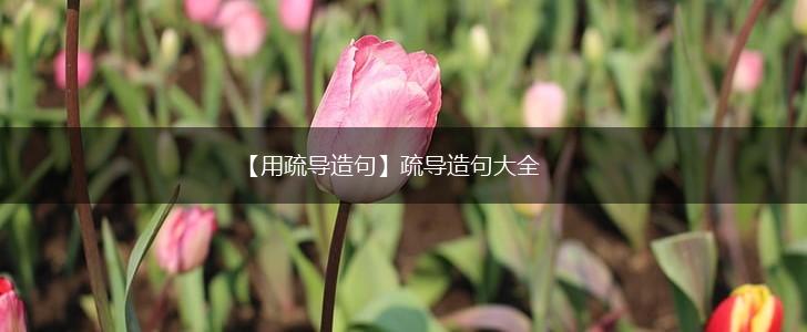 【用疏导造句】疏导造句大全,第1张