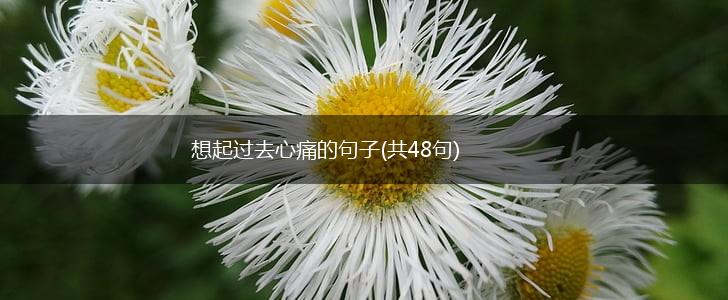 想起过去心痛的句子(共48句),第1张