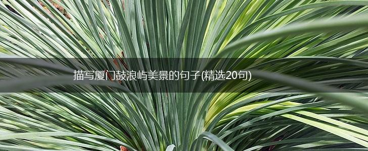描写厦门鼓浪屿美景的句子(精选20句),第1张