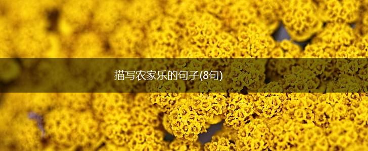 描写农家乐的句子(8句),第1张