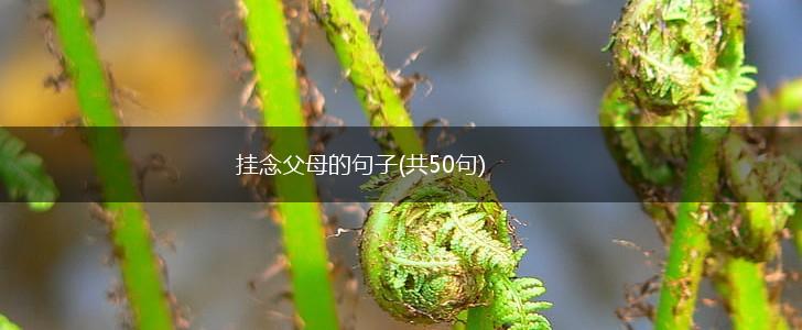 挂念父母的句子(共50句),第1张