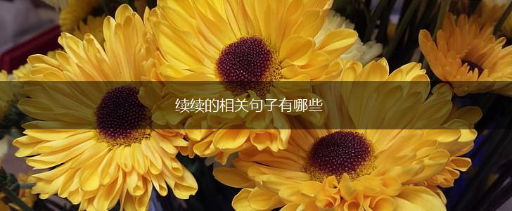 续续的相关句子有哪些,第1张 续续的相关句子有哪些,第1张