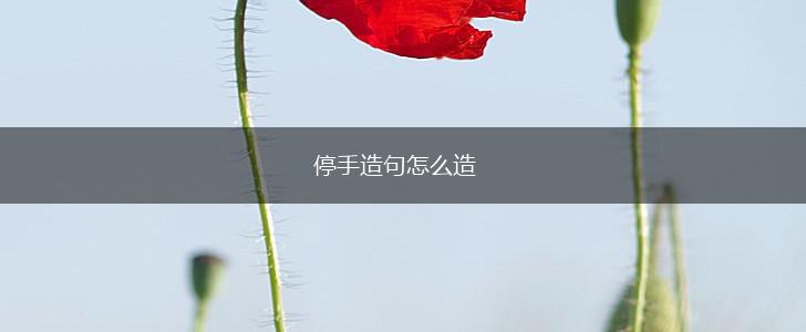 停手造句怎么造,第1张 停手造句怎么造,第1张