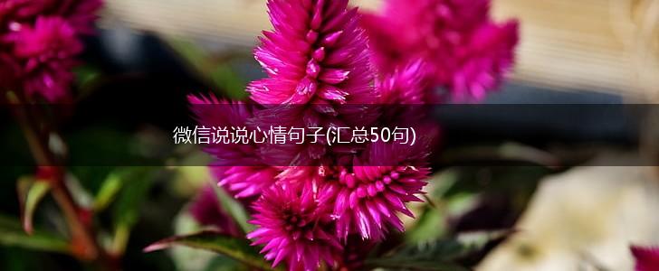 微信说说心情句子(汇总50句),第1张