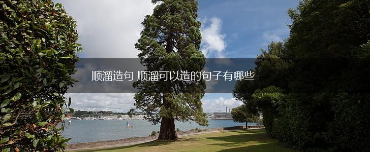 顺溜造句 顺溜可以造的句子有哪些,第1张 顺溜造句 顺溜可以造的句子有哪些,第1张