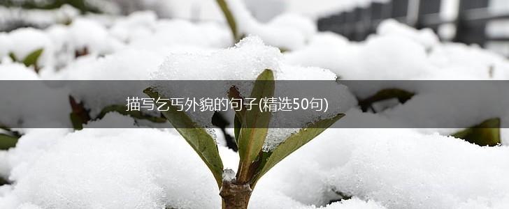 描写乞丐外貌的句子(精选50句),第1张