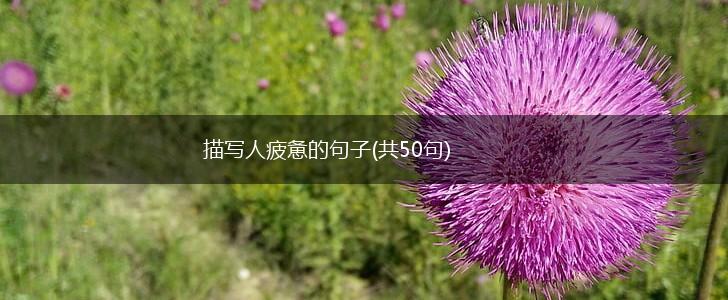描写人疲惫的句子(共50句),第1张