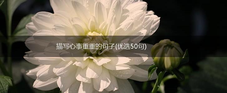 描写心事重重的句子(优选50句),第1张