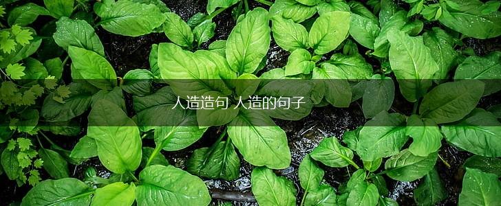 人造造句 人造的句子,第1张